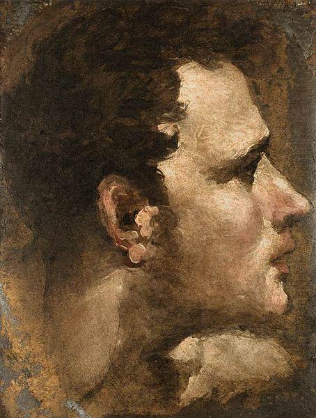 Domenico Beccafumi Head of a Youth Seen in Profile china oil painting image